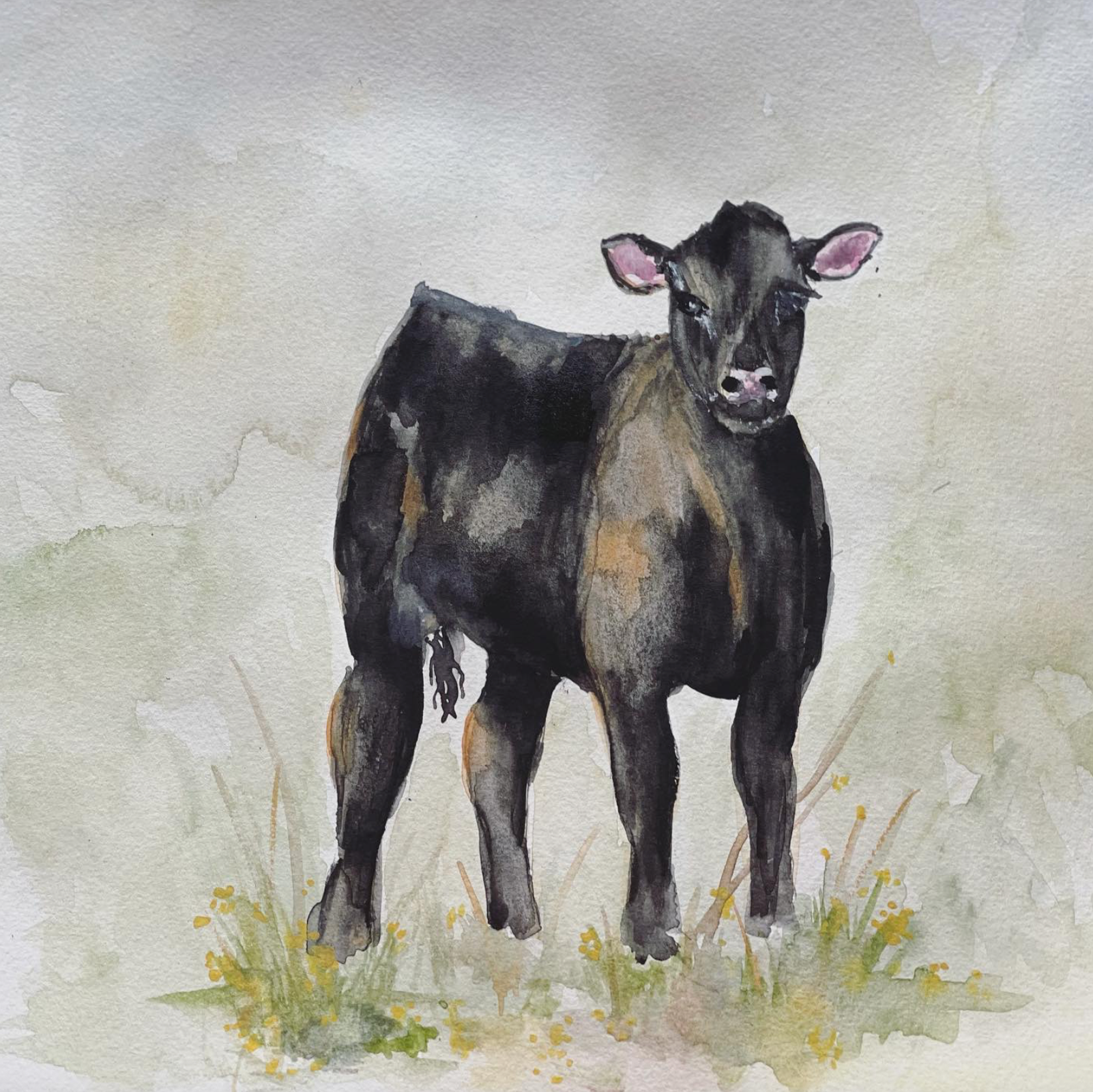 Spring Calf  – Watercolor Farm Art Print